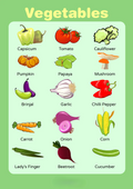 Learn Vegetables: Picture Poster for Kids